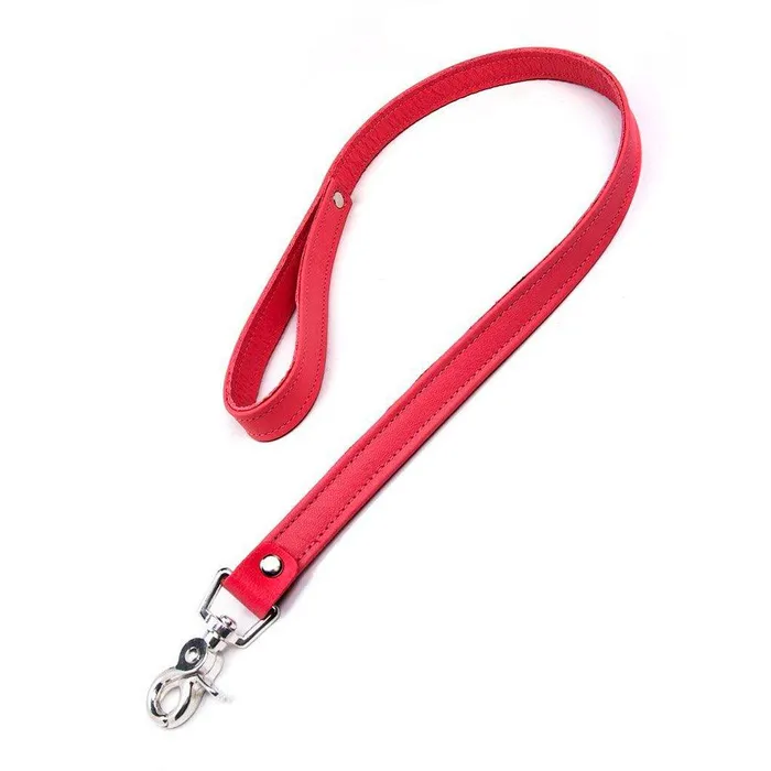 vendorunknown Restraints Premium Garment Leather Leash 25