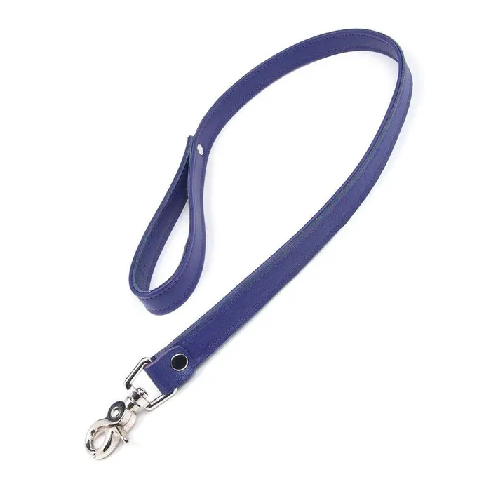 vendorunknown Restraints Premium Garment Leather Leash 25