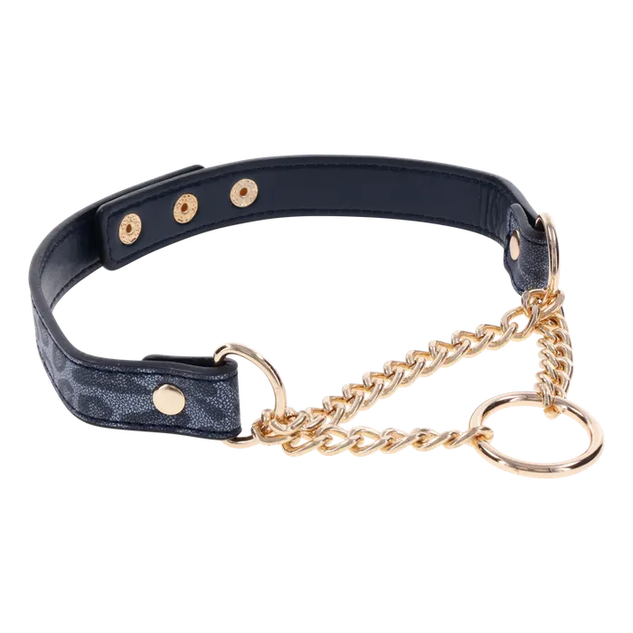 Couples SPORTSHEETS INTERNATIONAL SEX MISCHIEF COUGAR DAY COLLAR