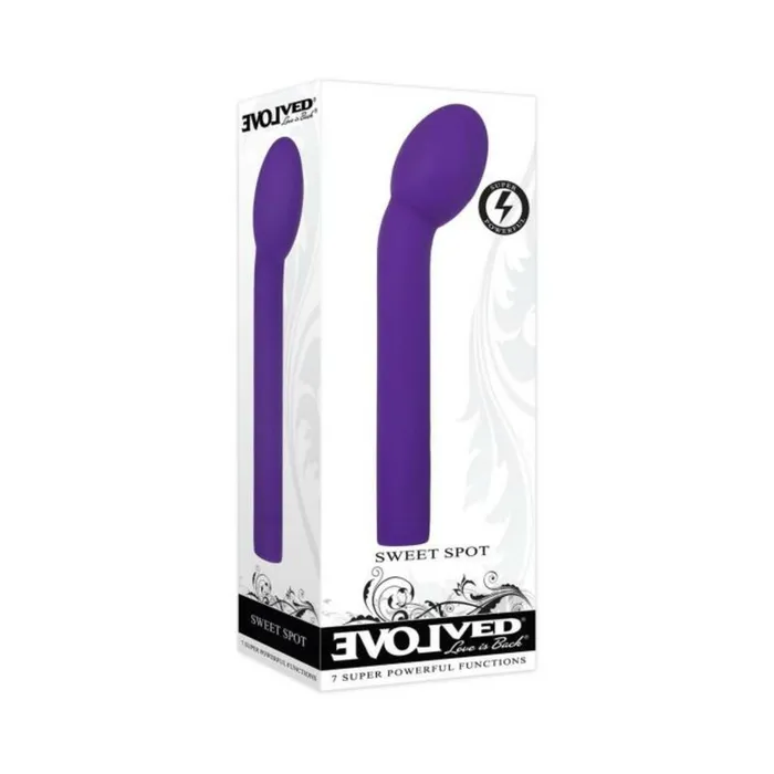 Vibrators Evolved Evolved Sweet Spot Rechargeable Silicone Purple