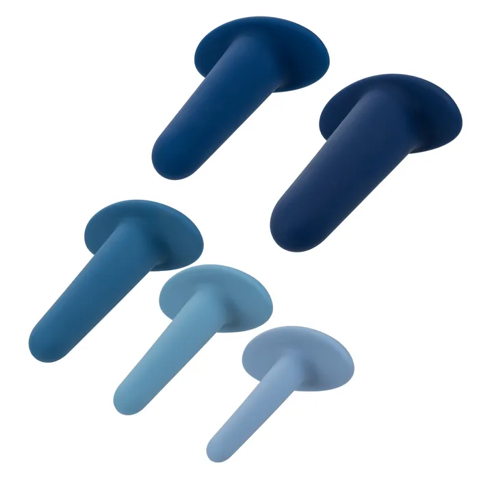 CalExotics Anal TheyOlogy 5Piece Wearable Anal Training Set CalExotics Anal TheyOlogy 5Piece Wearable Anal Training Set
