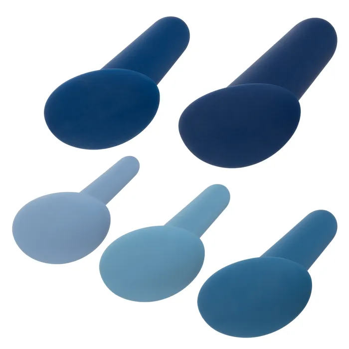CalExotics Anal TheyOlogy 5Piece Wearable Anal Training Set CalExotics Anal TheyOlogy 5Piece Wearable Anal Training Set